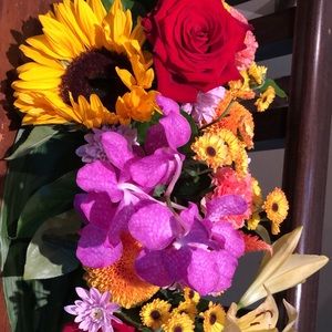 Meet your Posher, Angela